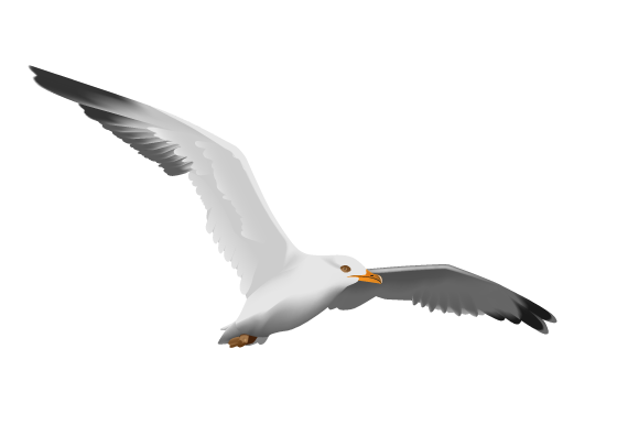 Altered Seagull